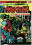Man-Thing 19 (FN- 5.5)