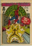 Spider-Man and Hulk 417 (VF/NM 9.0)