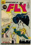 Adventures of the Fly 19 (G+ 2.5)