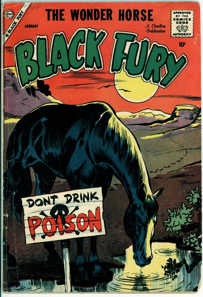 Black Fury 17 (G+ 2.5)