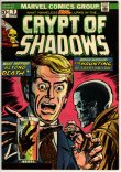 Crypt of Shadows 9 (FN 6.0)