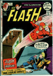 Flash 212 (FN- 5.5)