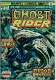 Ghost Rider 16 (VG 4.0)
