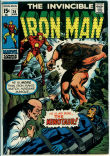 Iron Man 24 (FN 6.0)