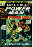 Luke Cage, Power Man 21 (FN 6.0)