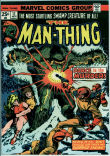 Man-Thing 11 (FN- 5.5)