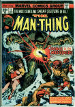 Man-Thing 11 (G 2.0)