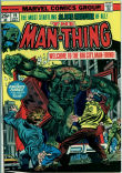 Man-Thing 19 (FN/VF 7.0)