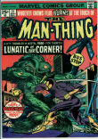 Man-Thing 21 (FN 6.0)