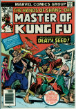 Master of Kung Fu 45 (VF/NM 9.0)