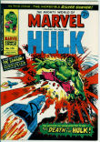 Mighty World of Marvel 113 (FN 6.0)
