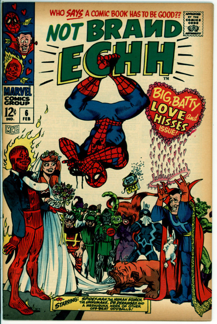 Not Brand Echh 6 (VG+ 4.5)