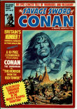 Savage Sword of Conan (Mag.) 35 (FN 6.0)