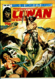 Savage Sword of Conan (Mag.) 78 (FN 6.0)