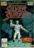 Silver Surfer (3rd series) Annual 2 (VG+ 4.5)