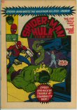Spider-Man and Hulk Team-Up 431 (FN/VF 7.0)