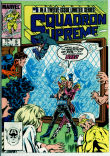 Squadron Supreme 5 (FN 6.0)