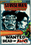 Starslayer 8 (VF/NM 9.0)