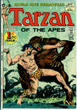 Tarzan 207 (FN+ 6.5)