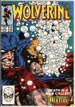 Wolverine (2nd series) 19 (VF/NM 9.0)