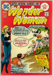 Wonder Woman 216 (VG 4.0)